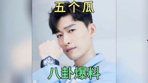 娱乐圈吃瓜故事小说